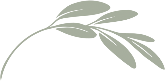 Estate Planning & Elder Law in Spokane leaf